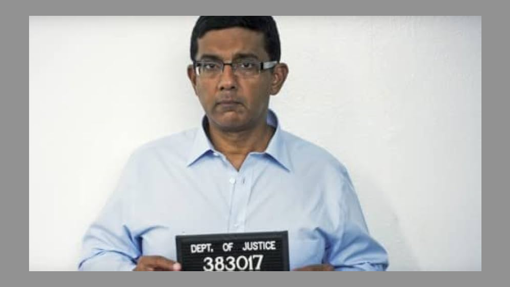 Dinesh D’Souza, Activist (convicted)